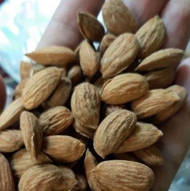Natural Kashmiri Almond ( Mamra) Premium Quality