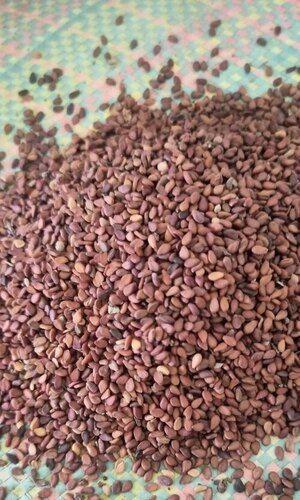 Brown Sesame Seeds Grade: Food & Pharma Grade