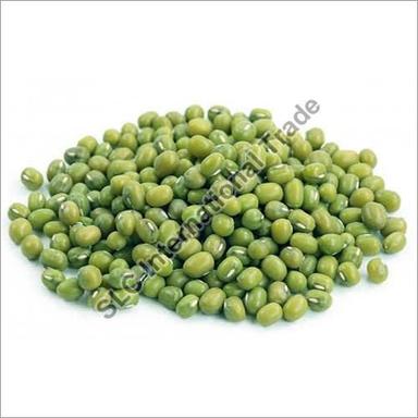 Mung Bean