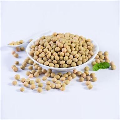 GMO Soybeans