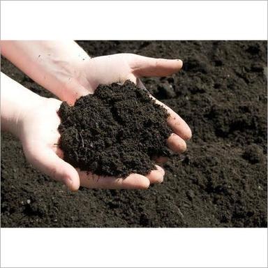 Cow Dung Manure Application: Agriculture