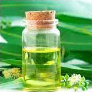 Eucalyptus Oil