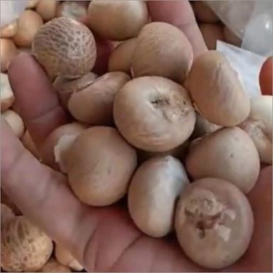 Organic Whole Betel Nut