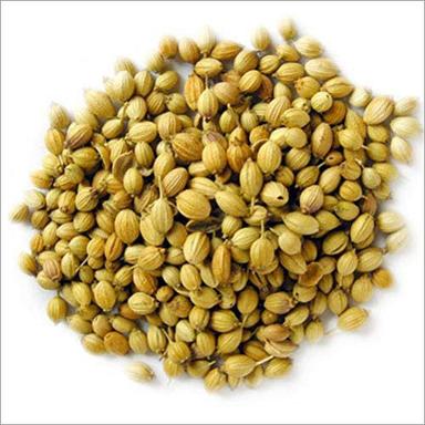 Coriander  Seeds