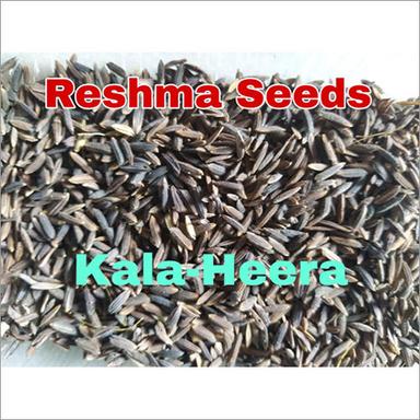 Common Kala Heera Paddy Seeds