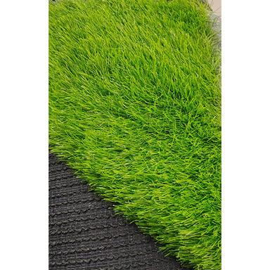 Artificial Grass