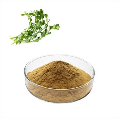 Brown Bacopa Monnieri Extract