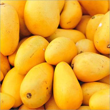Natural Fresh Yellow Mango