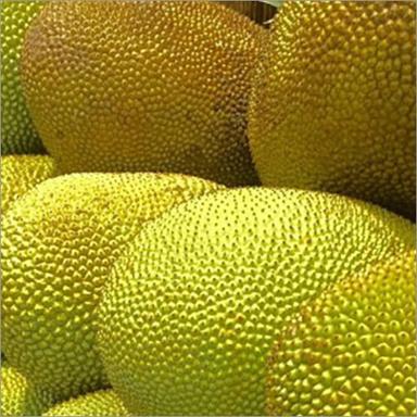Natural Jackfruit Shelf Life: 4 Days