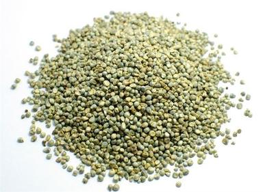 6. PEARL MILLET (BAJRA)