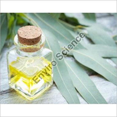 Eucalyptus Oil