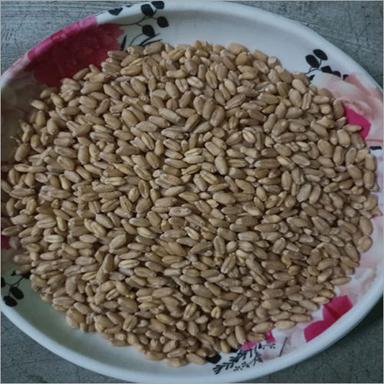 Brown Natural Wheat Grain