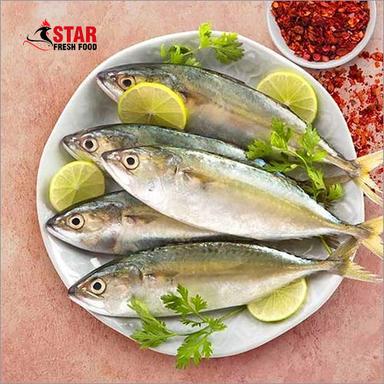 1Kg Mackerel Whole Fish