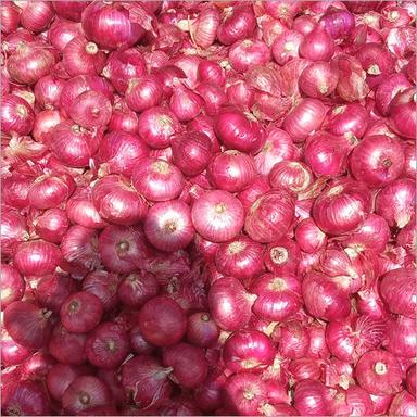 Natural Fresh Red Onion