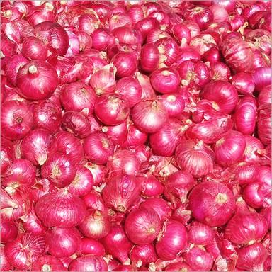 Natural Red  Onion