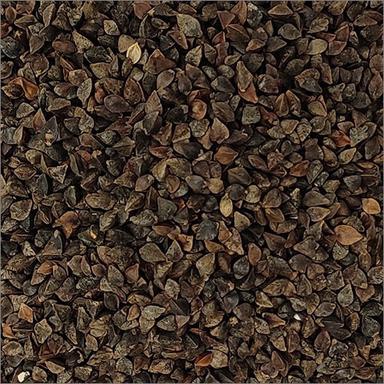 Common Premium Black Buckwheat Seeds