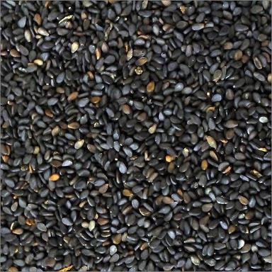 Fresh Black Sesame Seeds
