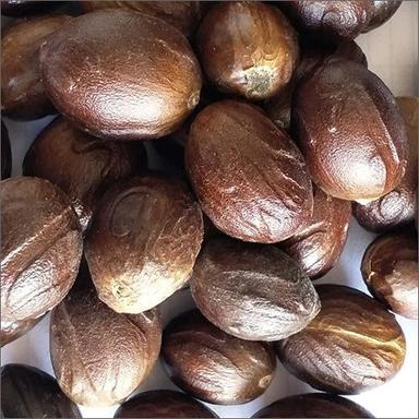 Fresh Nutmeg - Color: Brown