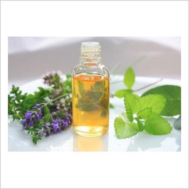 Menthol Oil Ingredients: Herbs