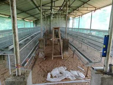 Gray Poultry Cage For Layer Farm