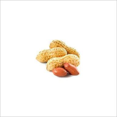 Common Plain Peanuts