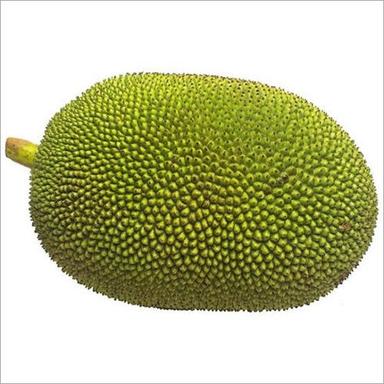 Green Jackfruit Moisture (%): Nil
