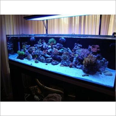 High Quality Acrylic Fish Aquarium