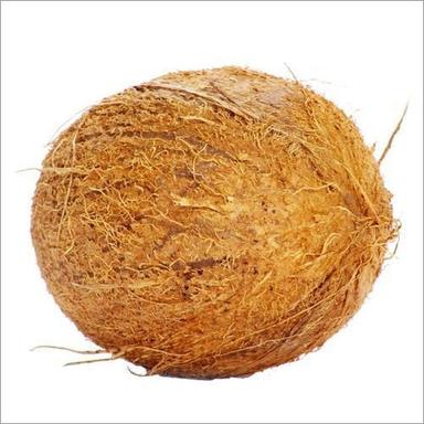 Brown Natural Husked Mature Coconut