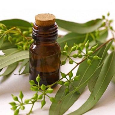 Organic Eucalyptus Oil Storage: Dry Place