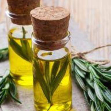 Organic Rosemary Oil Storage: Dry Place