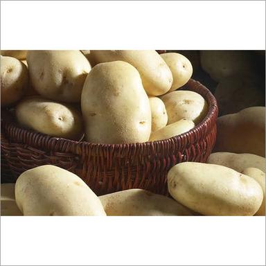 Fresh Organic Potato Moisture (%): Nil