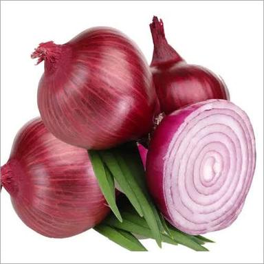 A Grade Red Onion Moisture (%): Nil