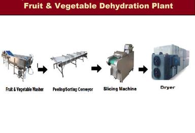 Apple Dehydration Plant Capacity: 100-1000 Kg/Day