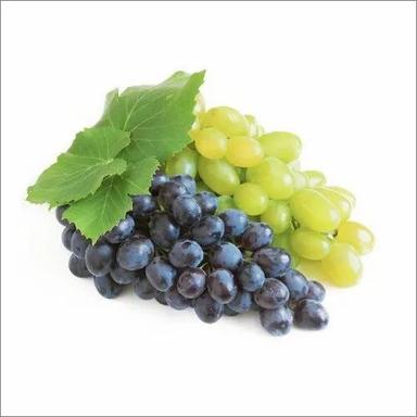 Green Fresh Grapes