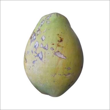 उच्च गुणवत्ता वाला ताजा नारियल