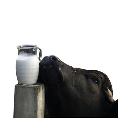 1 Liter Buffalo Milk Age Group: Baby