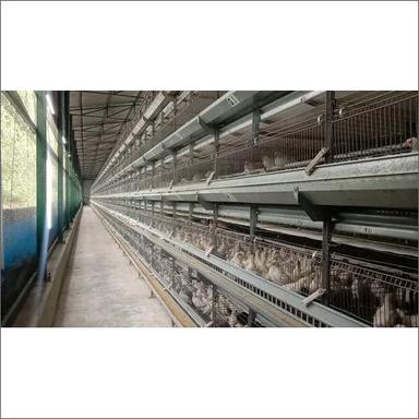Gray Stainless Steel Chick Cum Grower Battery Cages