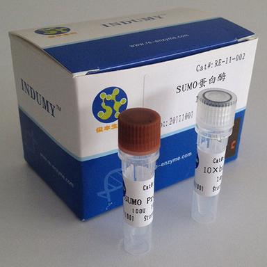 Recombinant Sumo Protease Generic Drugs