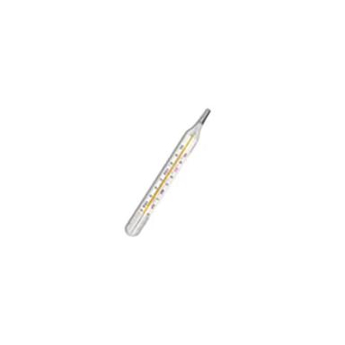 White Oval Clinical Thermometer