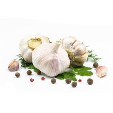 Oval Fresh Garlic