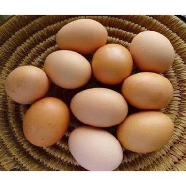 ताजे भूरे अंडे अंडे की उत्पत्ति: चिकन