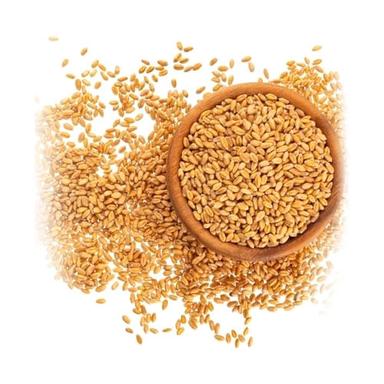 Organic Golden Brown Raw Wheat Grain