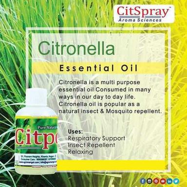 Pure Natural Citronella Oil Ingredients: Herbal Extract
