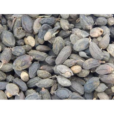 Herbal Product Dried Neem Seeds