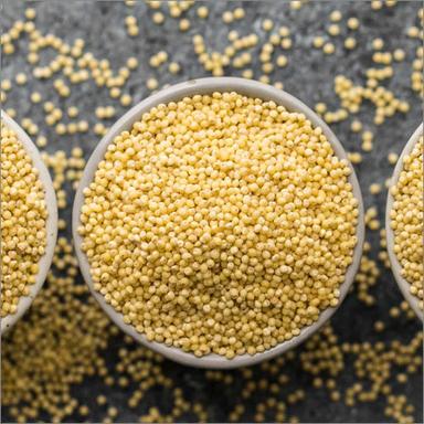 Organic Millet Calories: 331Kcal