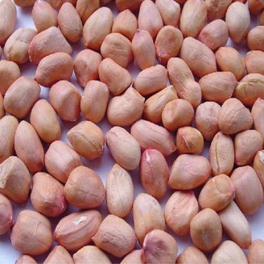 Common Java Peanuts