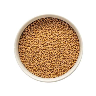 Yellow Mustard Seed Moisture (%): 10%