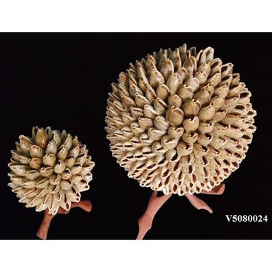 Brown V5080024 Seashell Balls