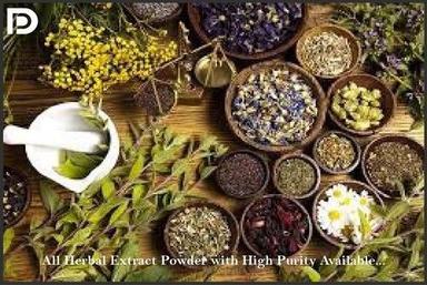 Herbal Extract Powder Health Supplements