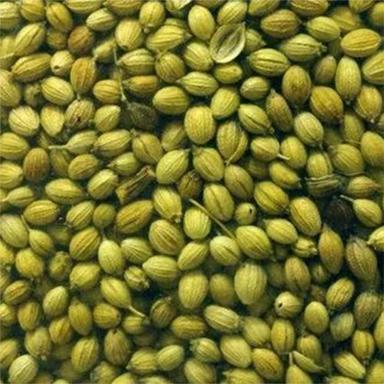 Coriander Seeds Grade: Food Grade